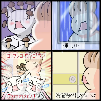 mushroom.jpg