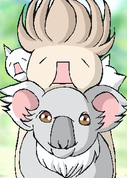koala.png