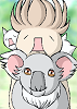 koala_thumb.png